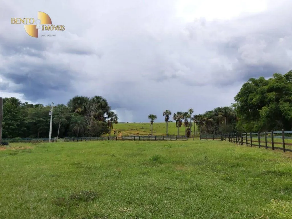 Fazenda à venda de 1.610 ha em Poxoréu, MT, Brasil