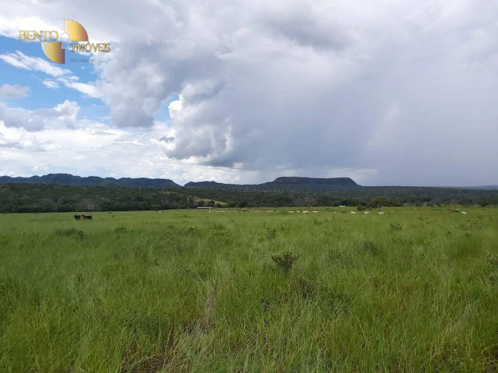 Fazenda à venda de 1.610 ha em Poxoréu, MT, Brasil