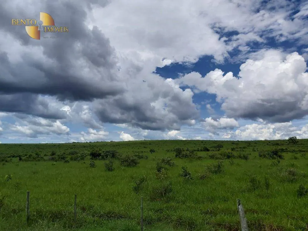 Fazenda à venda de 1.610 ha em Poxoréu, MT, Brasil