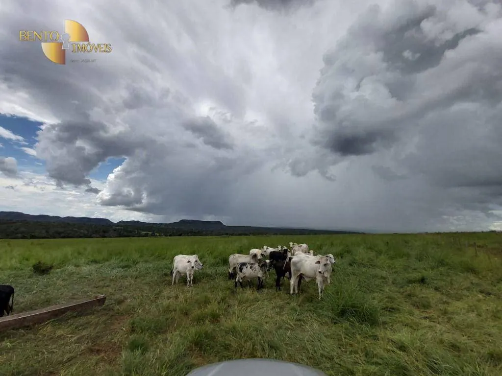 Fazenda à venda de 1.610 ha em Poxoréu, MT, Brasil