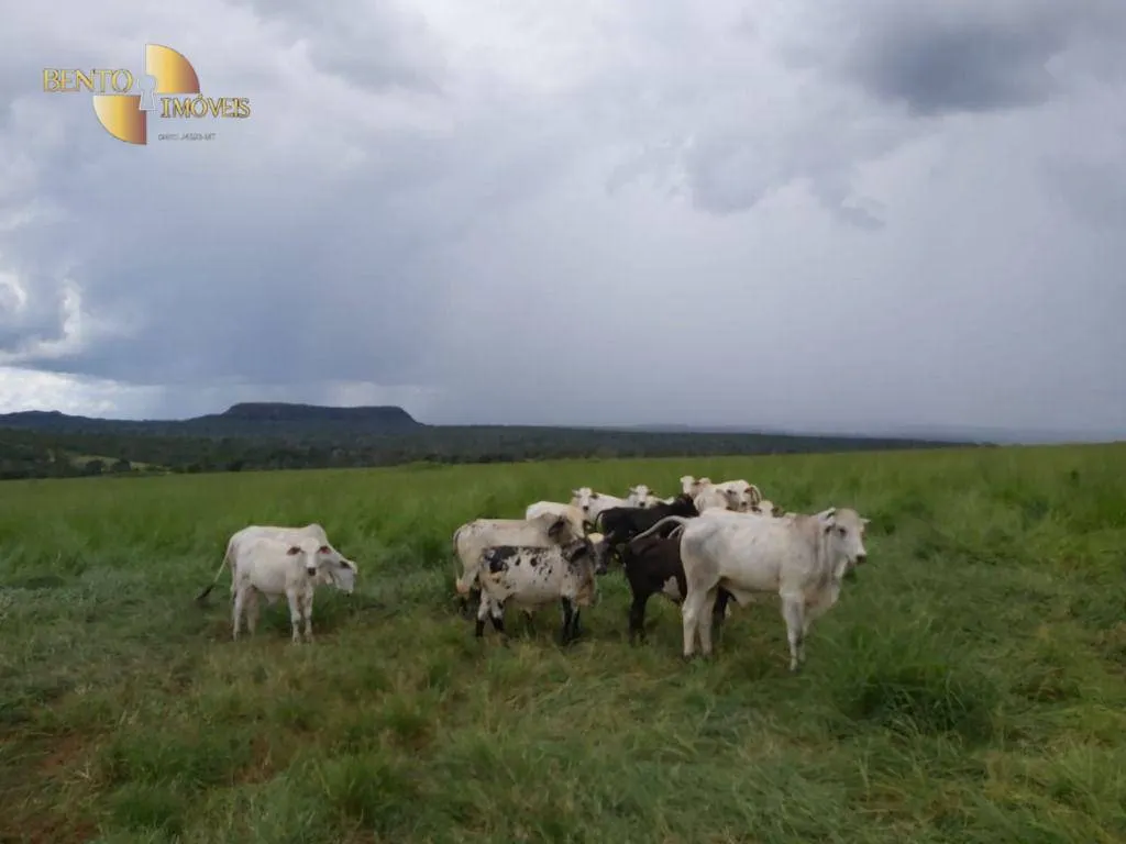 Fazenda à venda de 1.610 ha em Poxoréu, MT, Brasil