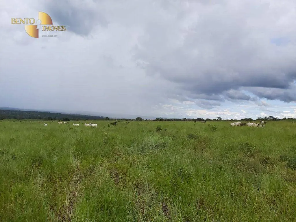 Fazenda à venda de 1.610 ha em Poxoréu, MT, Brasil
