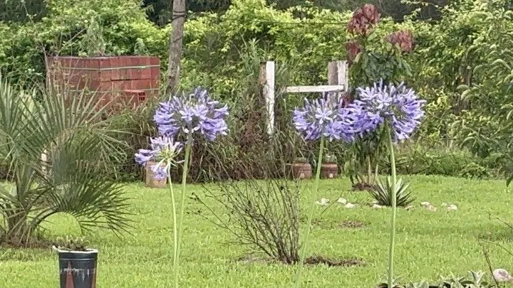 Chácara à venda de 1 ha em Santo Antônio da Patrulha, RS, Brasil