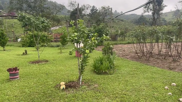 Chácara à venda de 1 ha em Santo Antônio da Patrulha, RS, Brasil