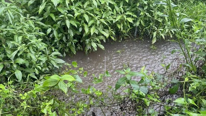 Chácara à venda de 1 ha em Santo Antônio da Patrulha, RS, Brasil