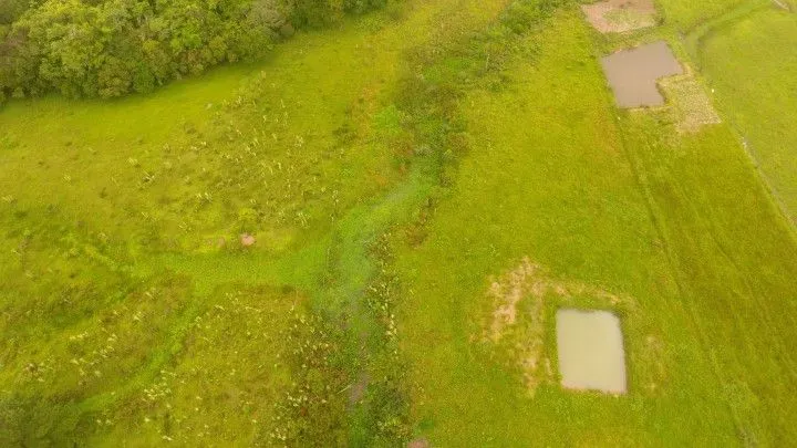 Chácara à venda de 1 ha em Santo Antônio da Patrulha, RS, Brasil