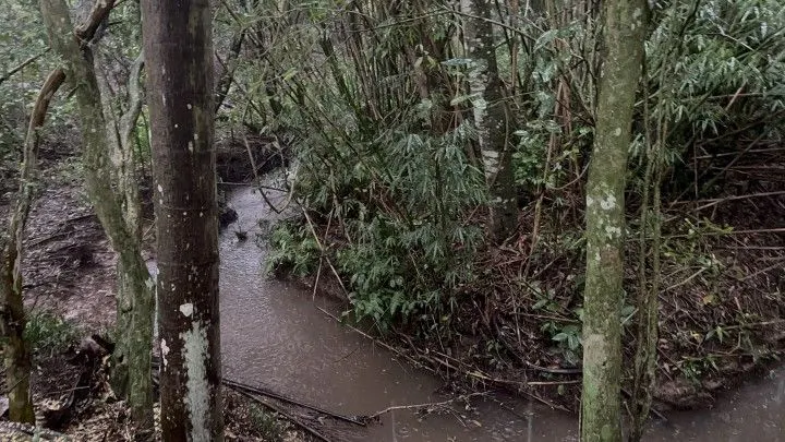 Chácara à venda de 1 ha em Santo Antônio da Patrulha, RS, Brasil
