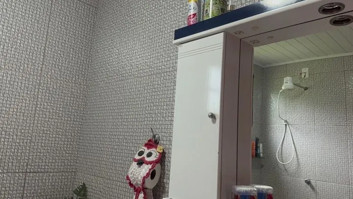 Chácara à venda de 1 ha em Santo Antônio da Patrulha, RS, Brasil