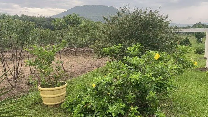 Chácara à venda de 1 ha em Santo Antônio da Patrulha, RS, Brasil