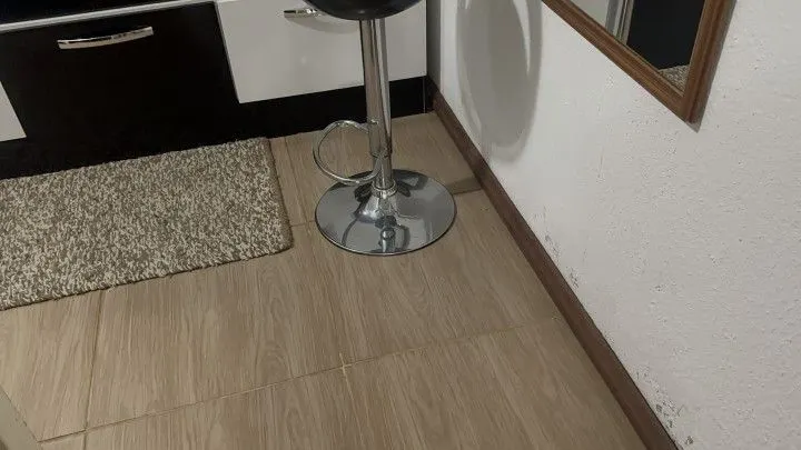 Chácara à venda de 1 ha em Santo Antônio da Patrulha, RS, Brasil