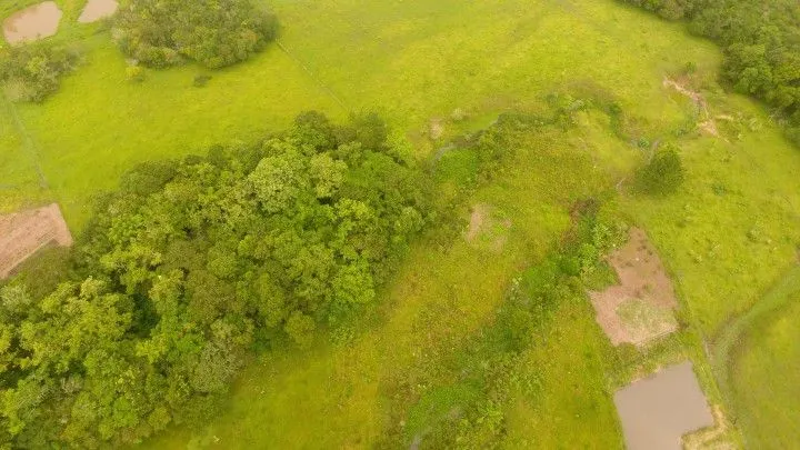 Chácara à venda de 1 ha em Santo Antônio da Patrulha, RS, Brasil