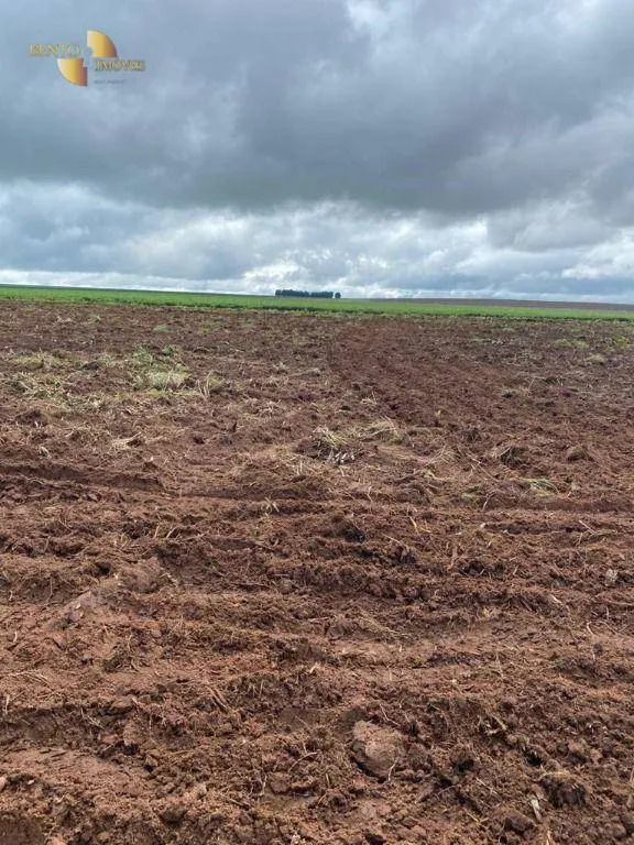 Fazenda à venda de 1.495 ha em Tangará da Serra, MT, Brasil