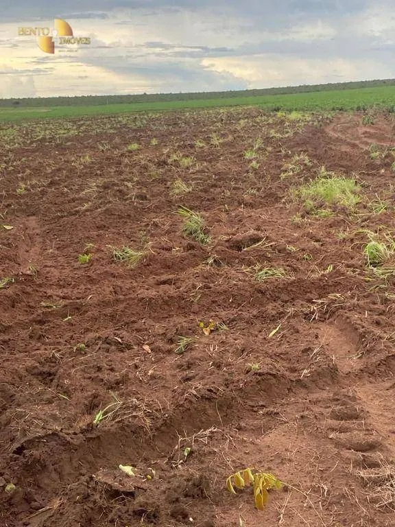 Fazenda à venda de 1.495 ha em Tangará da Serra, MT, Brasil
