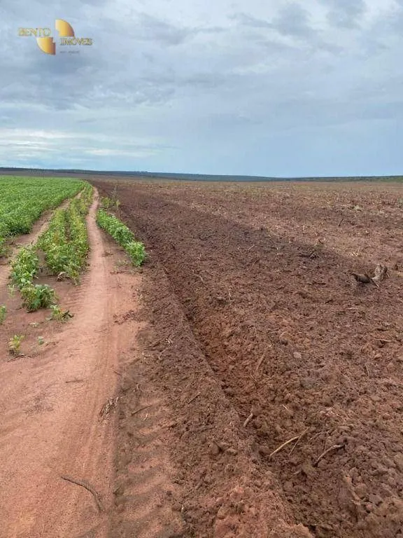 Fazenda à venda de 1.495 ha em Tangará da Serra, MT, Brasil