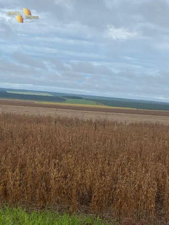 Fazenda à venda de 1.495 ha em Tangará da Serra, MT, Brasil