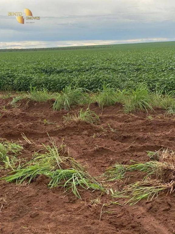 Fazenda à venda de 1.495 ha em Tangará da Serra, MT, Brasil
