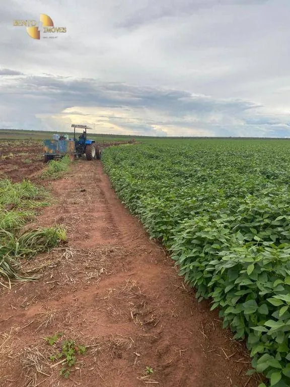 Fazenda à venda de 1.495 ha em Tangará da Serra, MT, Brasil