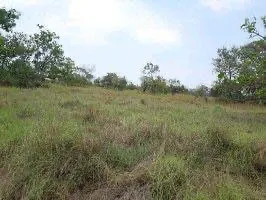 Fazenda à venda de 13.024 ha em Cuiabá, MT, Brasil