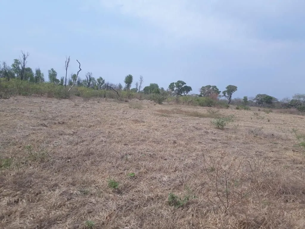 Fazenda à venda de 13.024 ha em Cuiabá, MT, Brasil