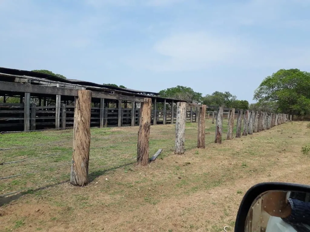 Fazenda à venda de 13.024 ha em Cuiabá, MT, Brasil