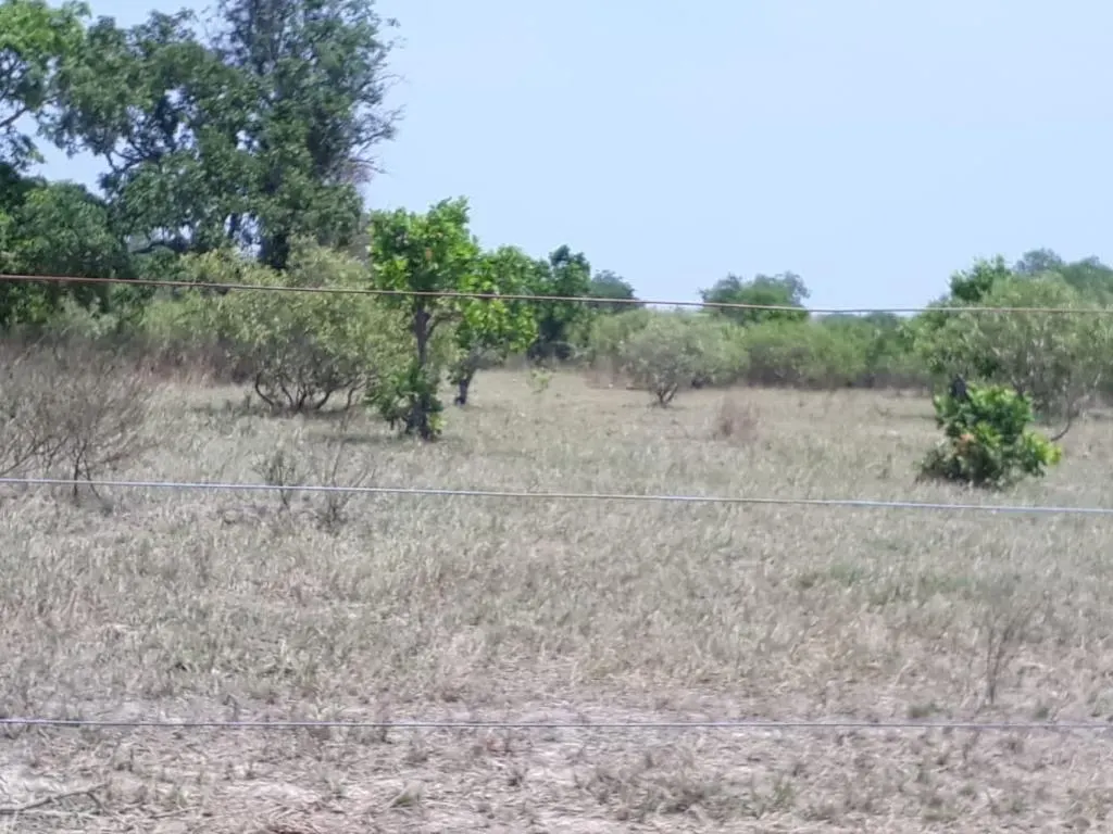 Fazenda à venda de 13.024 ha em Cuiabá, MT, Brasil