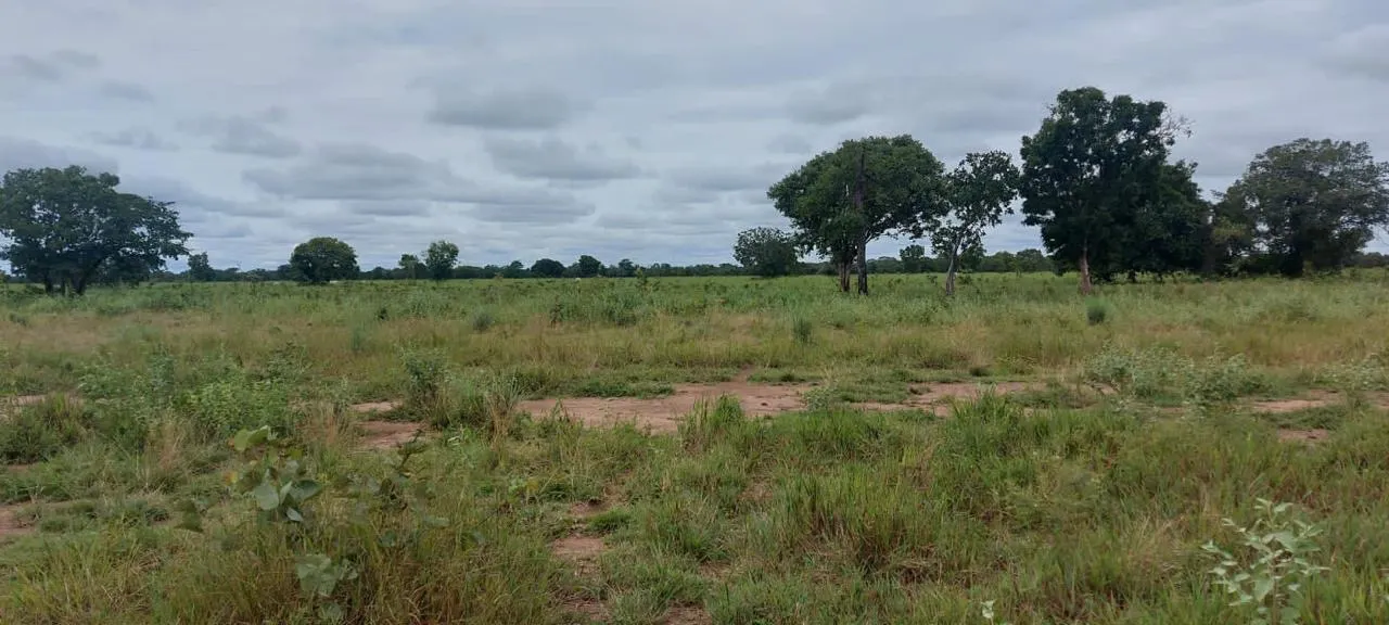 Fazenda à venda de 13.024 ha em Cuiabá, MT, Brasil