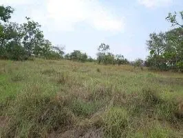 Fazenda à venda de 13.024 ha em Cuiabá, MT, Brasil