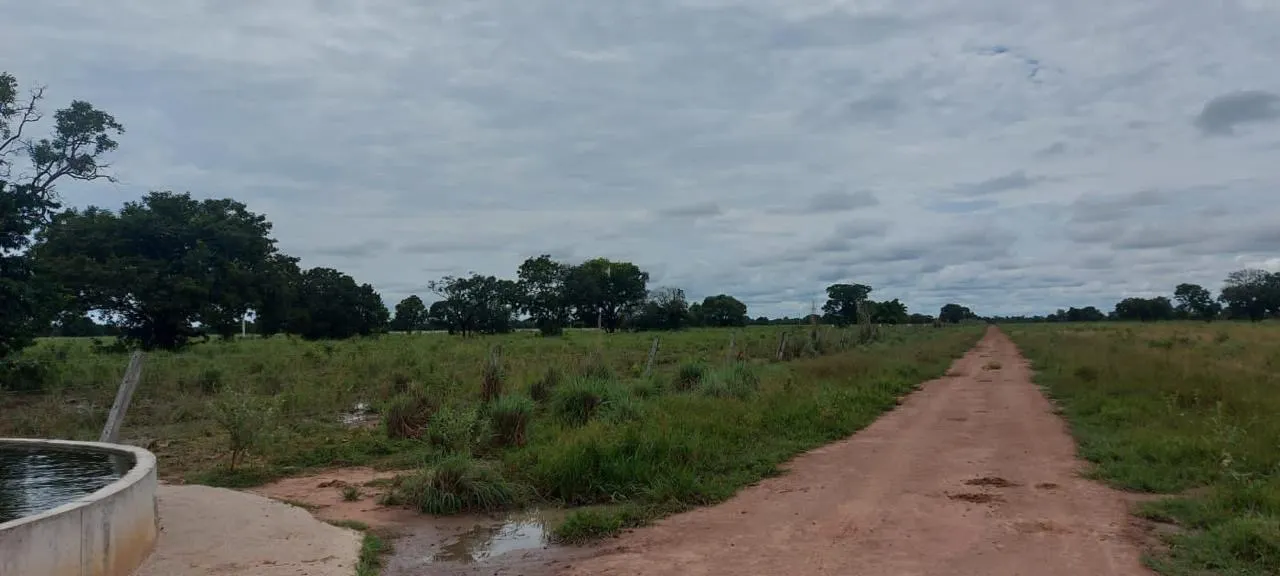Fazenda à venda de 13.024 ha em Cuiabá, MT, Brasil