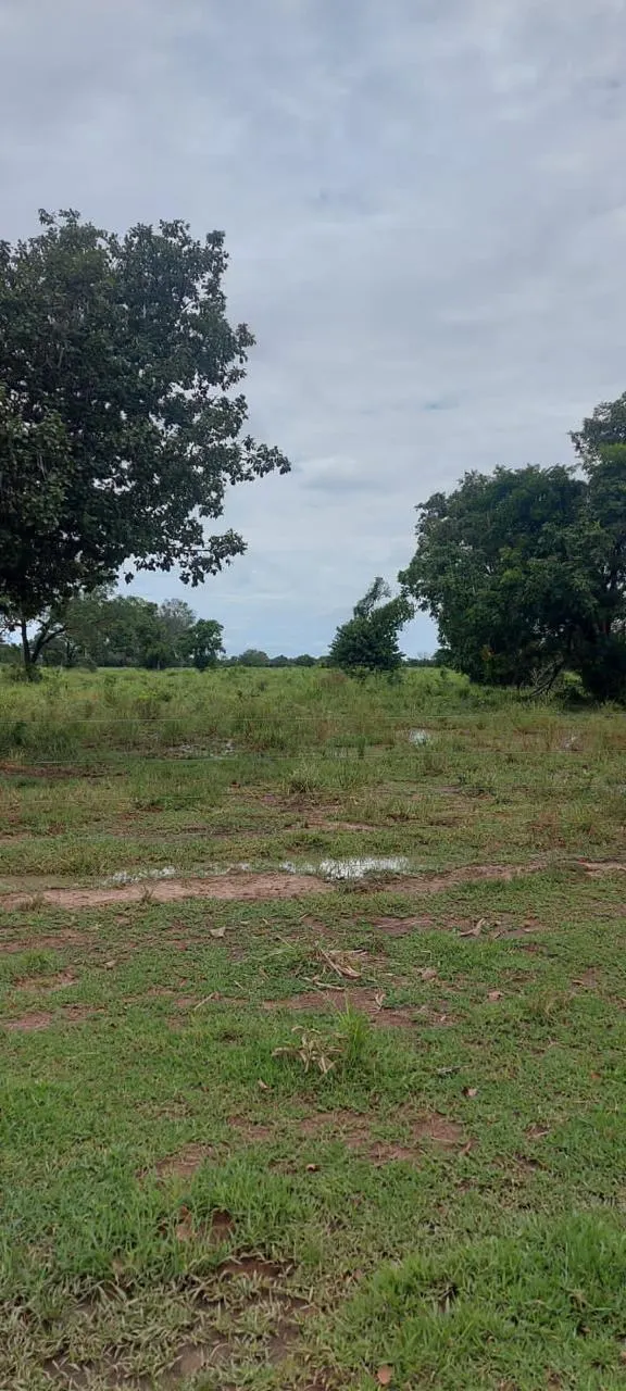 Fazenda à venda de 13.024 ha em Cuiabá, MT, Brasil
