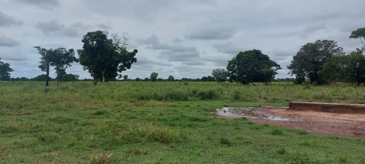 Fazenda à venda de 13.024 ha em Cuiabá, MT, Brasil