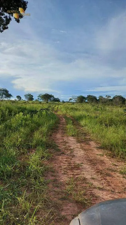Fazenda à venda de 893 ha em Guiratinga, MT, Brasil