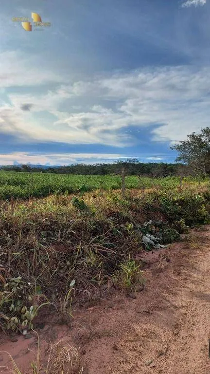 Fazenda à venda de 893 ha em Guiratinga, MT, Brasil