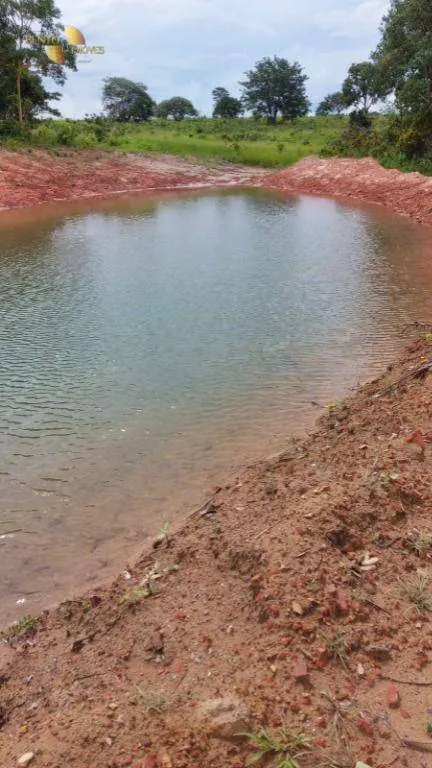 Fazenda à venda de 893 ha em Guiratinga, MT, Brasil