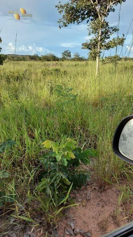 Fazenda à venda de 893 ha em Guiratinga, MT, Brasil