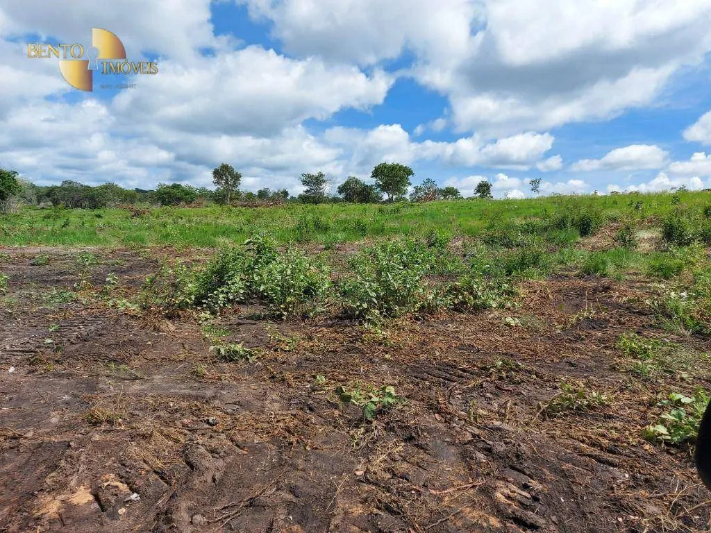 Fazenda à venda de 893 ha em Guiratinga, MT, Brasil