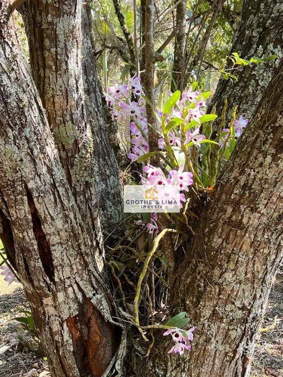 Chácara à venda de 9.647 m² em Sapucaí-Mirim, MG, Brasil
