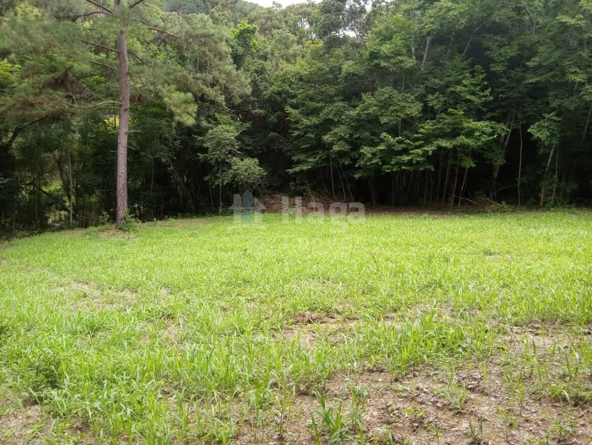 Fazenda à venda de 12 ha em Alfredo Wagner, SC, Brasil
