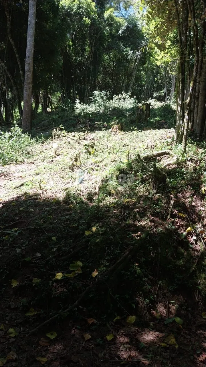 Fazenda à venda de 12 ha em Alfredo Wagner, SC, Brasil