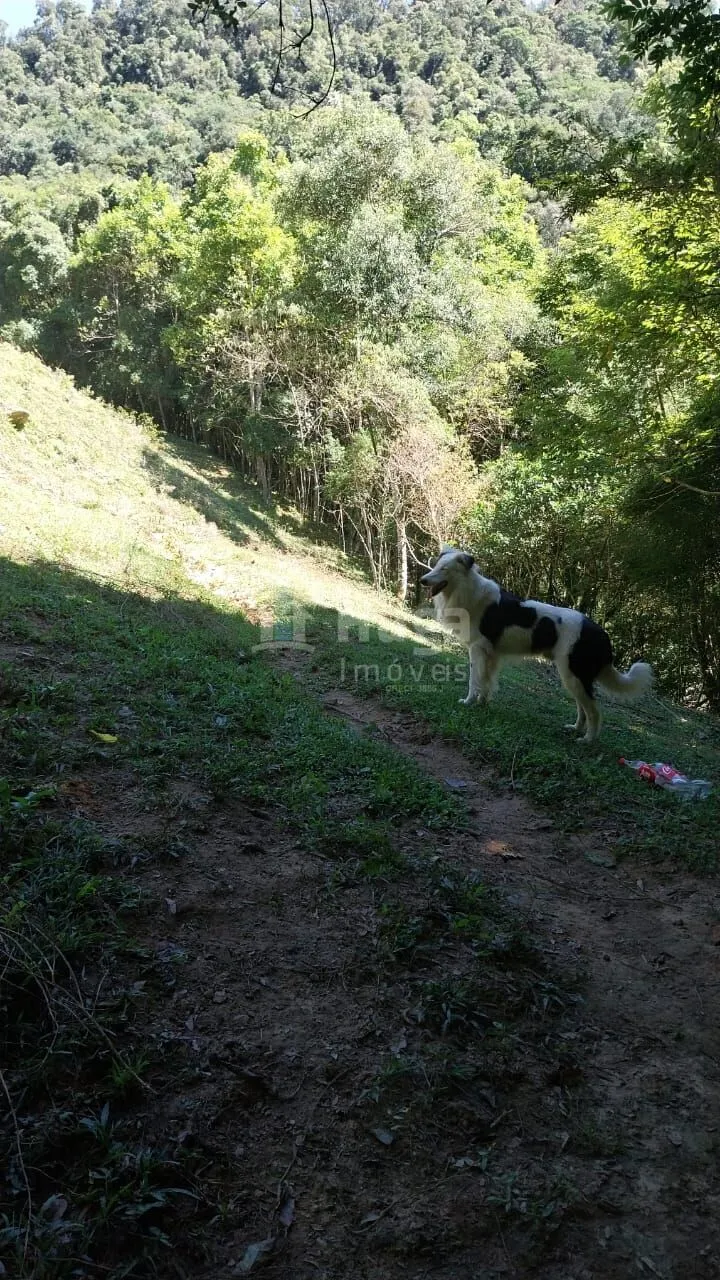 Fazenda à venda de 12 ha em Alfredo Wagner, SC, Brasil