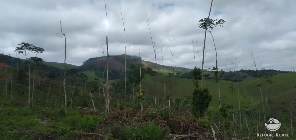 Plot for sale of 5 acres in Monteiro Lobato, SP, Brazil
