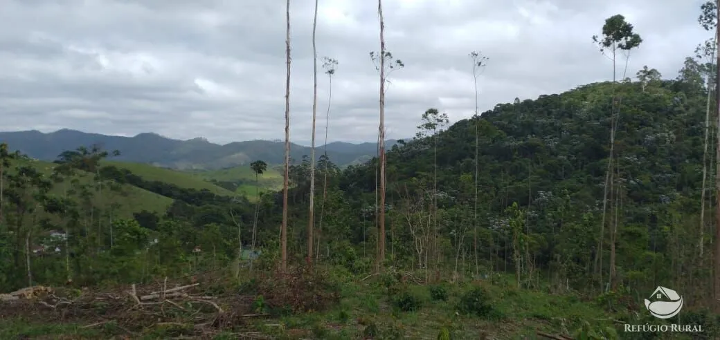 Plot for sale of 5 acres in Monteiro Lobato, SP, Brazil