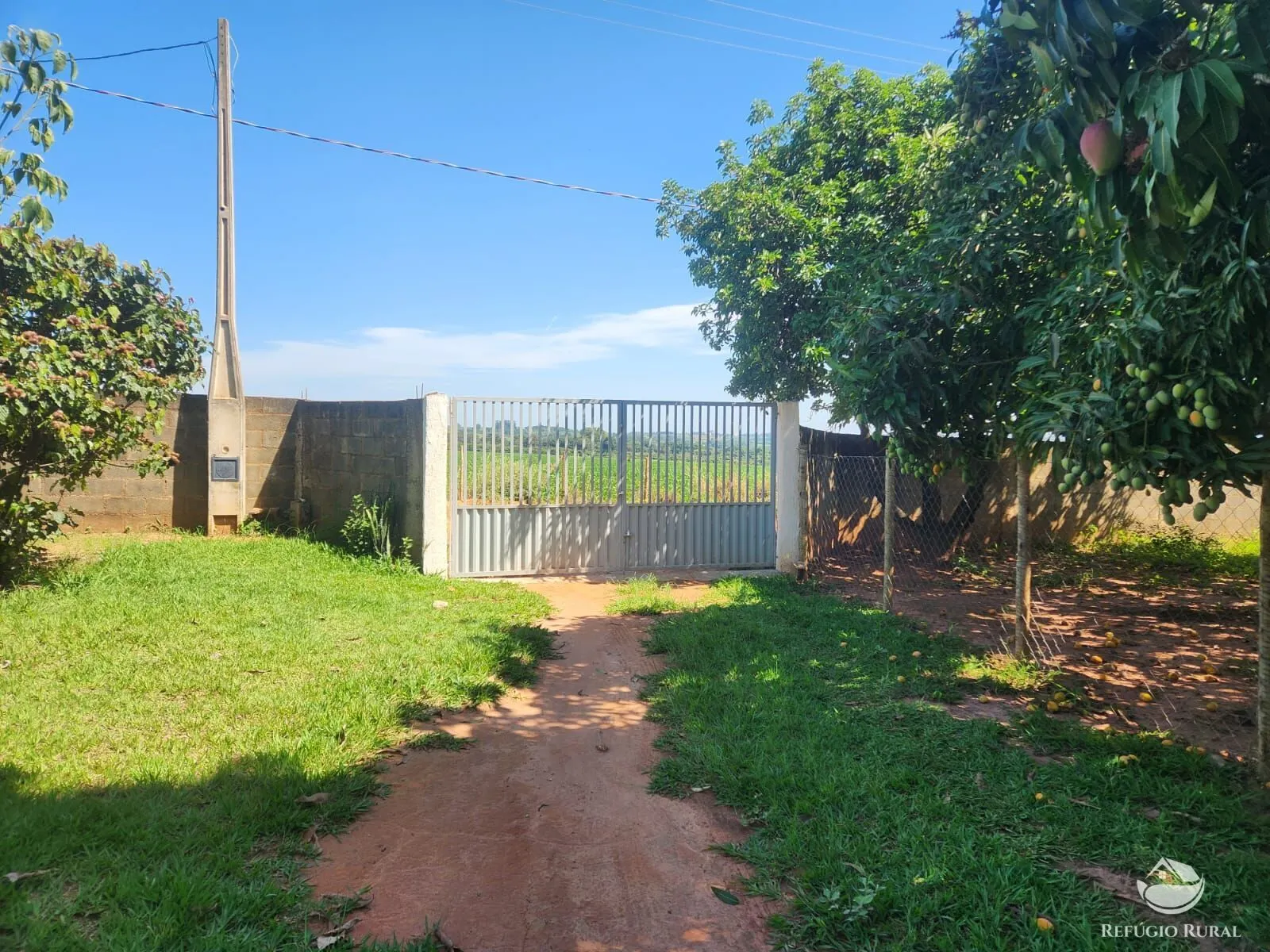 Small farm for sale of 5 acres in Sumaré, SP, Brazil