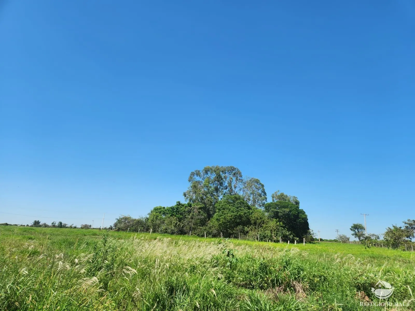 Small farm for sale of 5 acres in Sumaré, SP, Brazil