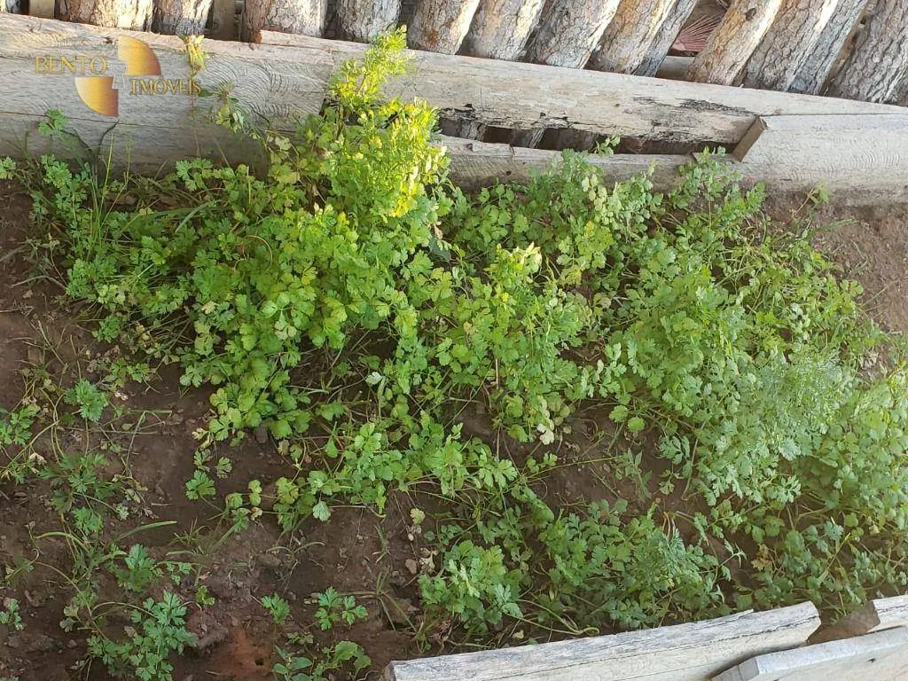 Fazenda à venda de 1.475 ha em Nobres, MT, Brasil
