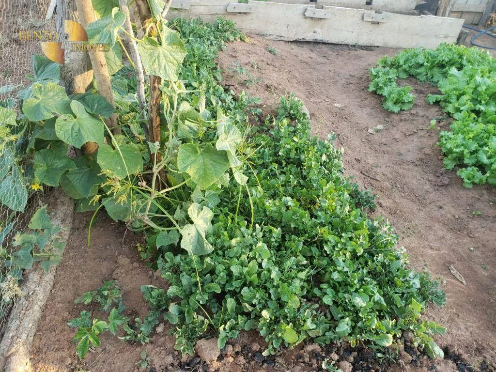 Fazenda à venda de 1.475 ha em Nobres, MT, Brasil
