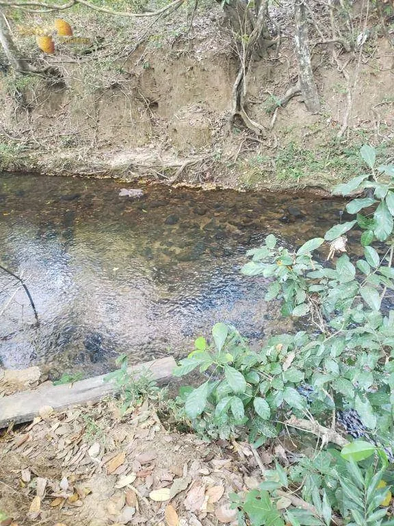 Fazenda à venda de 1.475 ha em Nobres, MT, Brasil