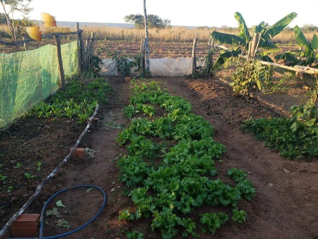 Fazenda à venda de 1.475 ha em Nobres, MT, Brasil