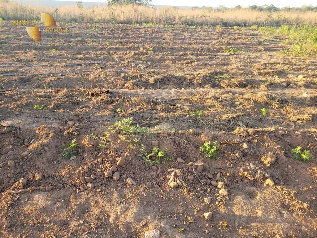 Fazenda à venda de 1.475 ha em Nobres, MT, Brasil