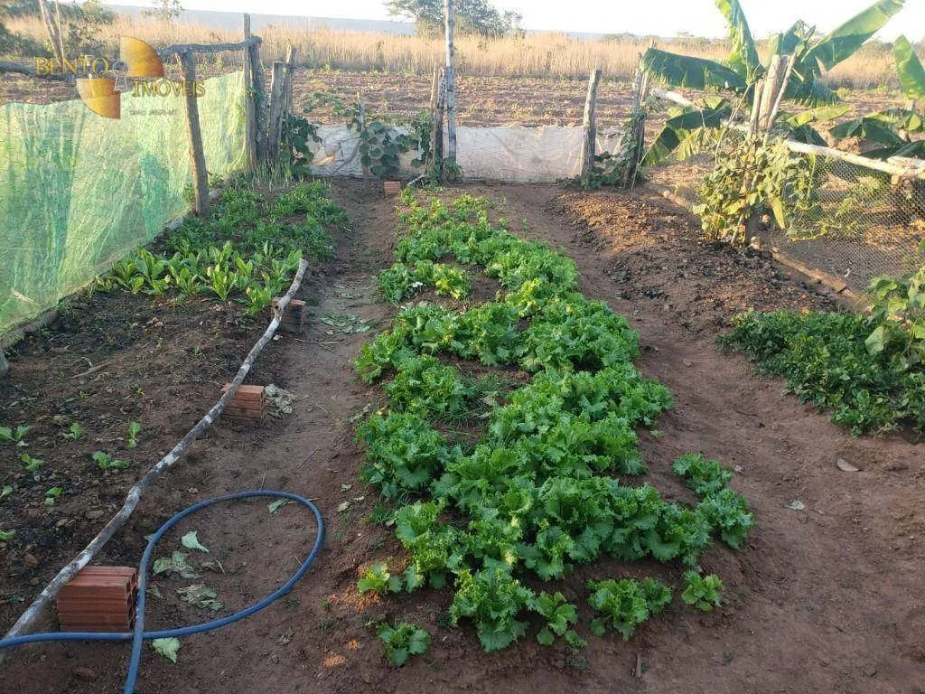 Fazenda à venda de 1.475 ha em Nobres, MT, Brasil