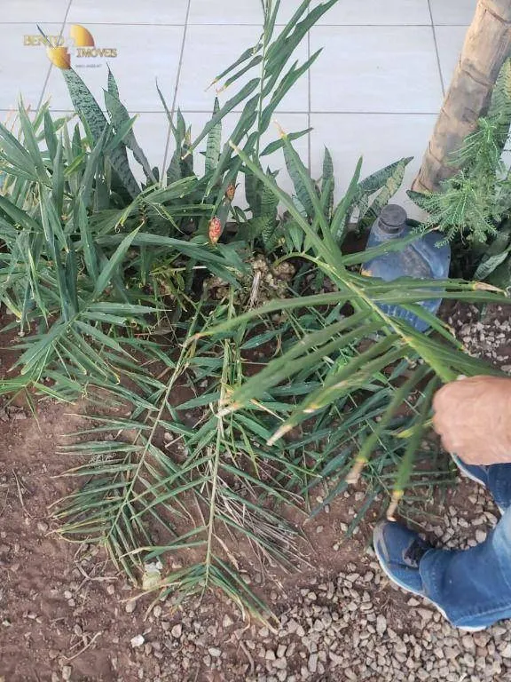 Fazenda à venda de 1.475 ha em Nobres, MT, Brasil